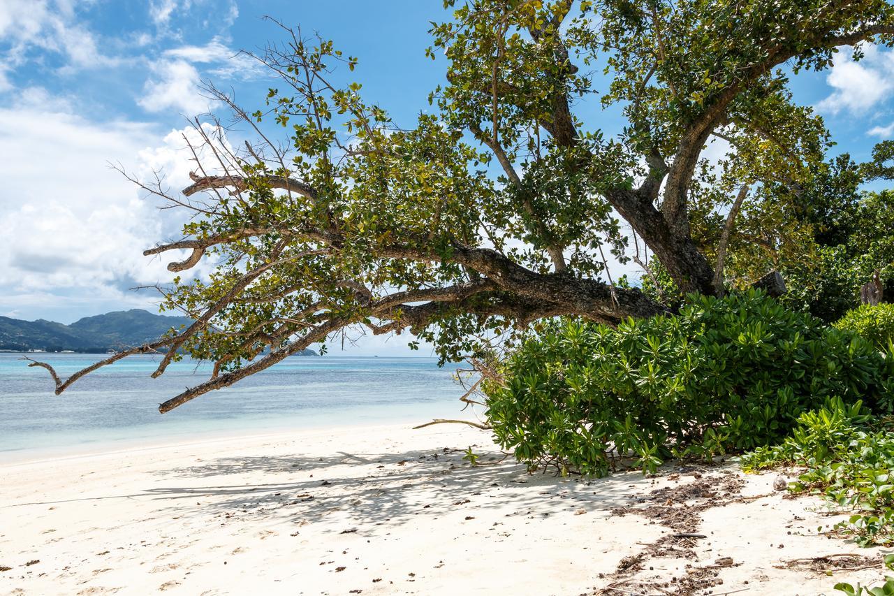 Surf Tropical Villa Seascape Cerf Island Exterior foto